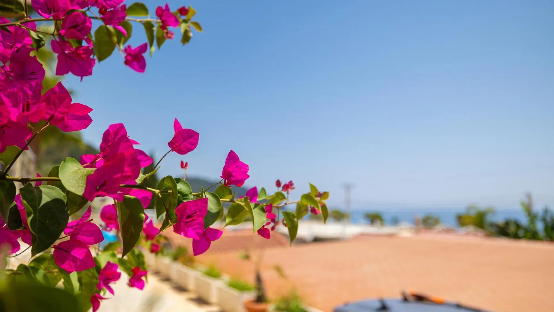 Royal Blue Hotel Dhermi